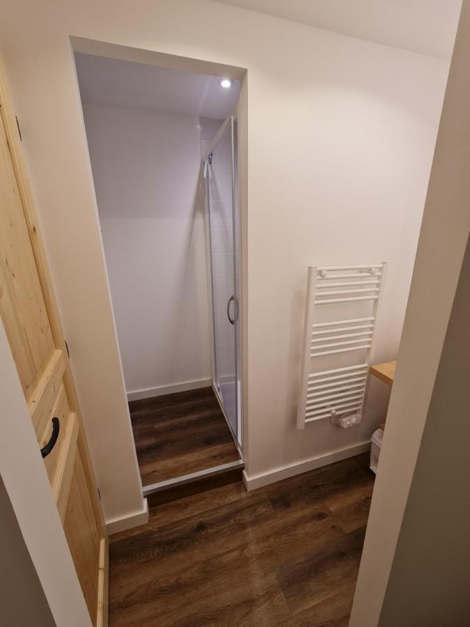 La Maizon Du Bois - Le Haut Appartement De 130 M2 - Le Bas Appartement De 70 M2 Ла-Плань Экстерьер фото